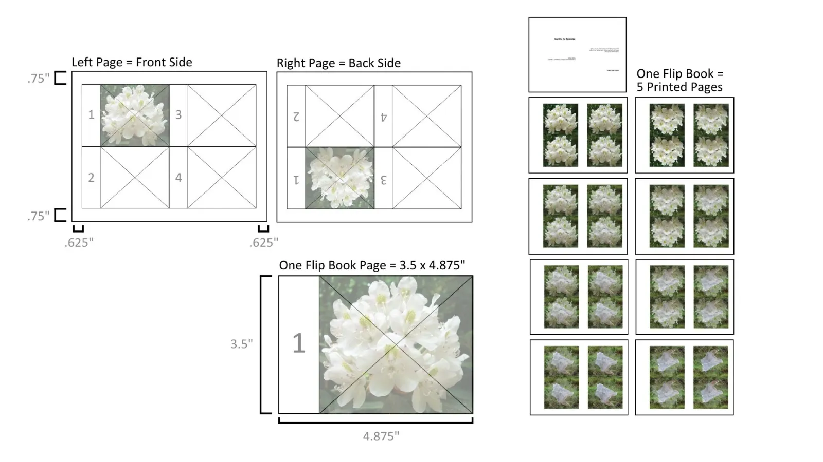 Templates indicate how the 4 images can be aligned on 1 page and printed in order to correctly orient the pages of the flip book.